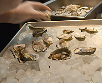 THE VUDE - VELVET UNDERGROUND DINING EXPERIENCE